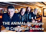 THE ANIMALS CONCERTO LIVE CRAZY BULL GENOVA