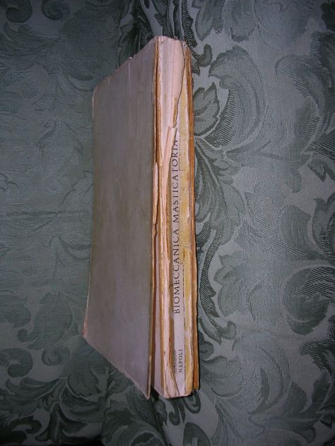 BIOMECCANICA MASTICATORIA - Foto 2