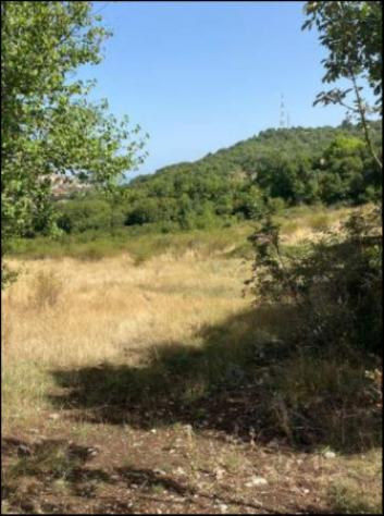 Immobile in asta di 48900 m² in vendita a Oricola - Foto 4