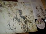 MIKE RUTHERFORD (Genesis) Smallcreeps Day LP / 33 rpm 1° St. 1980 Italy