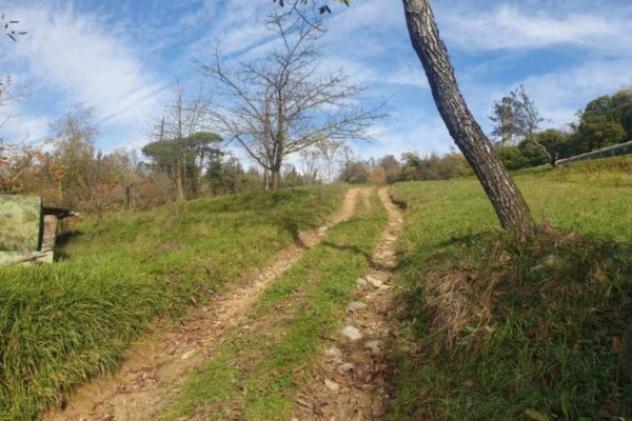Immobile in asta di 174275 m² in vendita a Pieve Fosciana - Foto 2