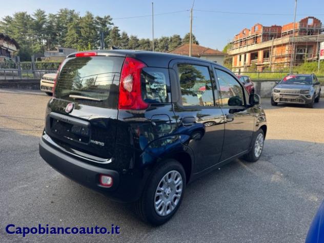 FIAT Panda 1.0 FireFly S&S Hybrid ICON KM0 PROMO rif. 23531843 - Foto 3