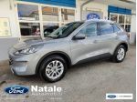Ford Kuga 1.5 EcoBlue 120 CV aut. 2WD Titanium