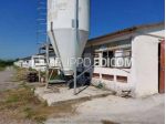 Fabbricati per attività agricole di 10588 mq  in vendita a Sona - Rif. 4547225