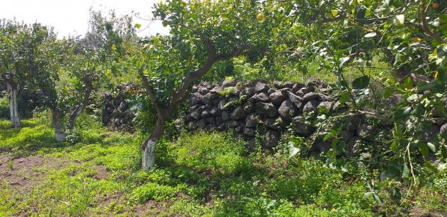 Terreno in vendita a Fiumefreddo di Sicilia