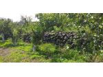 Terreno in vendita a Fiumefreddo di Sicilia