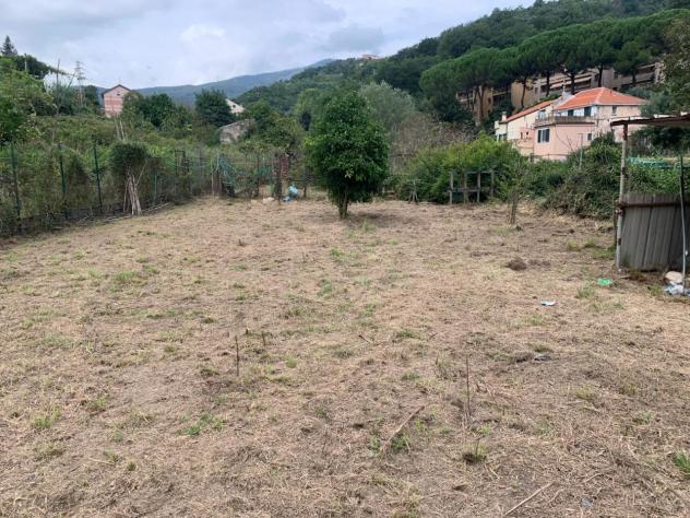 Frutteto in vendita a Vado Ligure - Foto 11