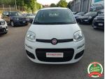 FIAT Panda 1.2 EasyPower Easy rif. 24003920