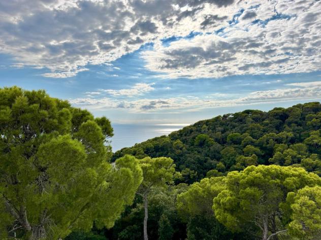 Villa in vendita a Livorno - Foto 5