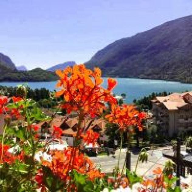Albergo Stella Alpina di Bonetti Ida & C. S.a.s.