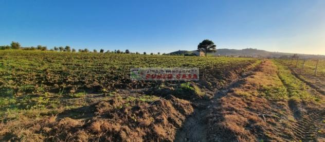 NAPOLA – Terreno agricolo di 23.000 mq ca. Euro 68 MILA