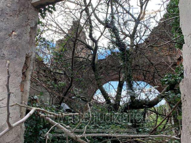 IMMOBILI-ALTRA CATEGORIA-Forramoro e Bulicata, Strada vicinale Case Barelli, - Foto 3