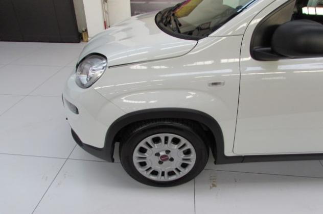 FIAT Panda 1.0 FireFly S&S Hybrid rif. 24216237 - Foto 6