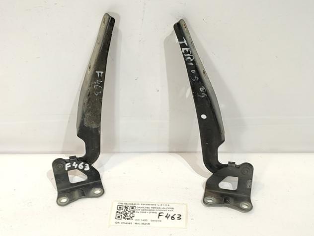 CERNIERE COFANO ANTERIORE DX E SX DAIHATSU Terios 2° Serie 53410B4010 53420B4010 3SZVE (06)