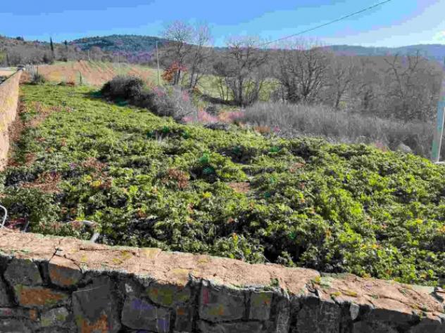 Immobile in asta di 34322 m² in vendita a Bucine - Foto 20