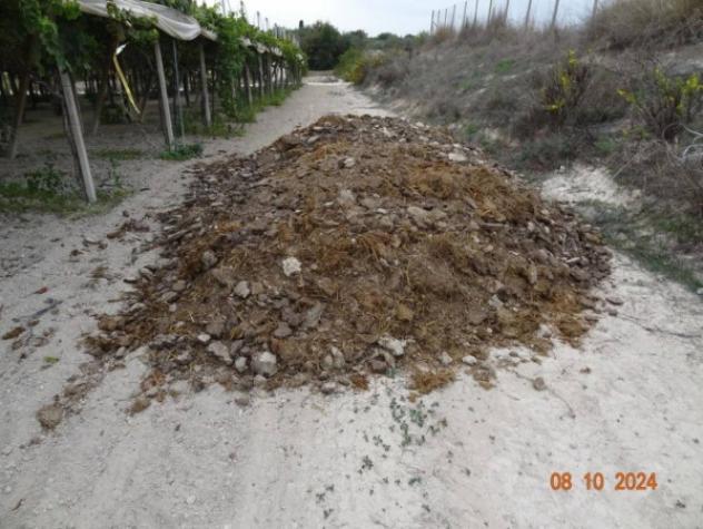 Immobile in asta di 46740 m² in vendita a Licodia Eubea - Foto 4