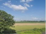 Rustico in vendita a San Donato - Santa Maria a Monte 600 mq  Rif: 1049472