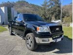 Ford F 150 F 150 - 5.4 GPL - NETTO IVA