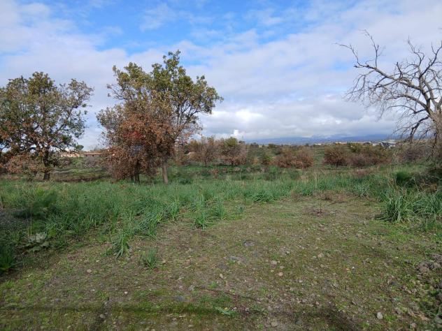 Terreno in vendita a Belpasso - Foto 4