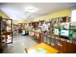 Attività Commerciale - Cattolica . Rif.: B 103