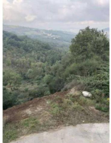 Immobile in asta di 15089 m² in vendita a Ruvo del Monte - Foto 2
