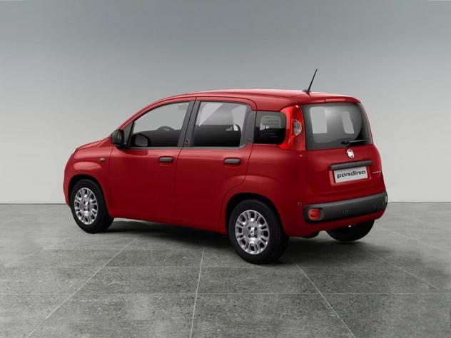 FIAT Pandina Pandina 1.0 firefly hybrid Pop s&s 65cv con CNJ-Badge (red) su montante laterale - Foto 4