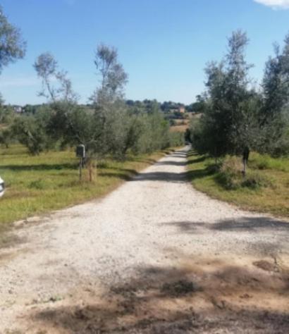Immobile in asta di 48 m², box auto in vendita a Montecosaro - Foto 10