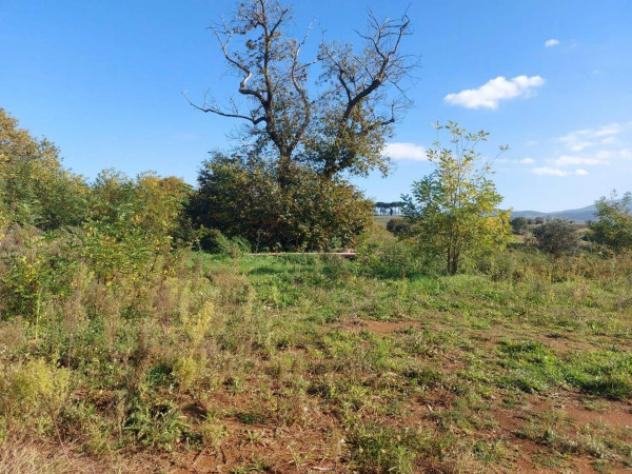 Immobile in asta di 3640 m² in vendita a Artena - Foto 6