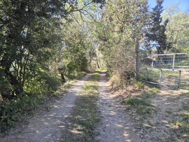 Rustico in vendita a Cinigiano - Foto 13
