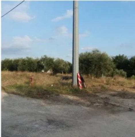 Immobile in asta di 1135 m² in vendita a Collecorvino - Foto 3