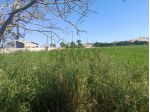Terreno in vendita a Comiso