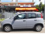 FIAT Panda 1.0 FireFly S&S Hybrid rif. 23623851
