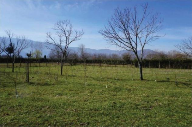 Immobile in asta di 186 m² in vendita a Montesarchio - Foto 6