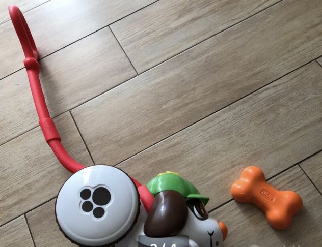Detective dog - Foto 4