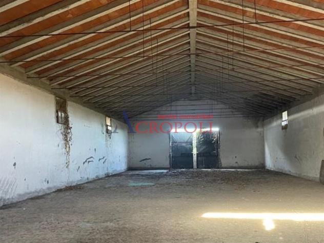 Magazzino 1 locale - Rif. 2481 - Foto 18