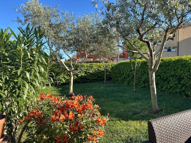 Terratetto in vendita a Sarzana - Foto 3