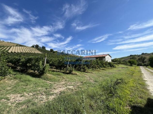 PODERE AGRICOLO CON CAPANNONE - BRISIGHELLA - FAENZA - VIA AGELLO E SANDRONA - Foto 3