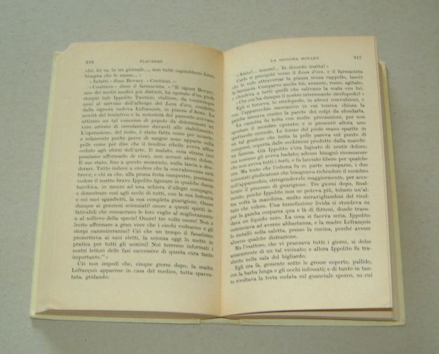La Signora Bovary (costumi di provincia) - Foto 7