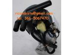 30105PH4662 Honda Accord spinterogeno