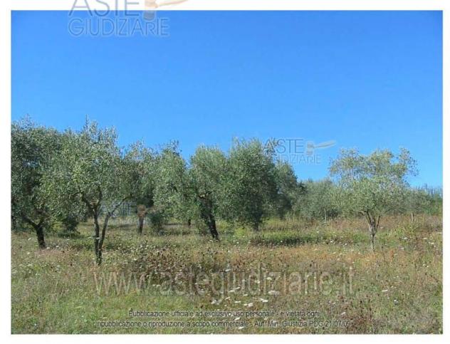 IMMOBILI-ALTRA CATEGORIA-Contrada Serra - Foto 3