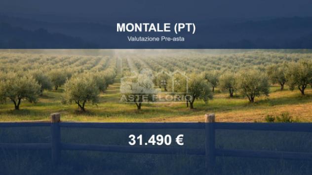 Immobile in asta di 164449 m² in vendita a Montale