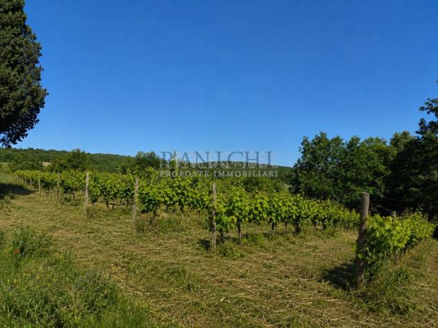 Terreno agricolo con magazzino e pozzo - Foto 8