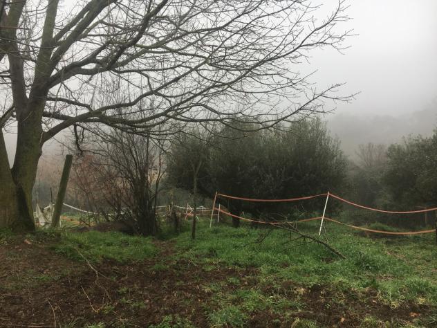 Agricolo in vendita a Sacrofano - Foto 3