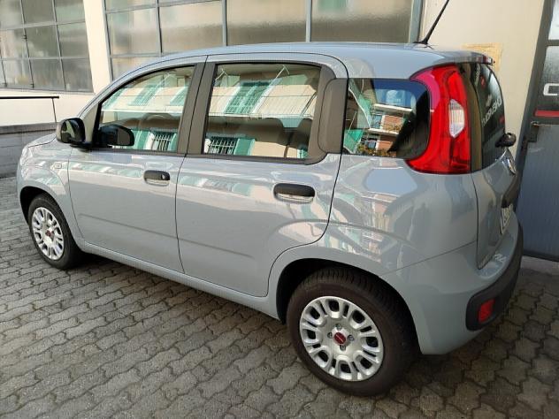 Fiat Panda 1.2 Easy - 11/2020 - Foto 9