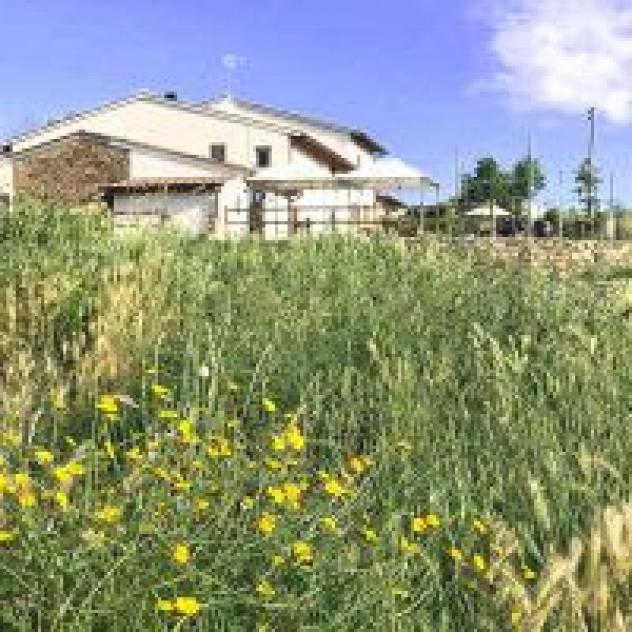 I Colli di Marliano Societa' Agricola S.S. - Foto 4