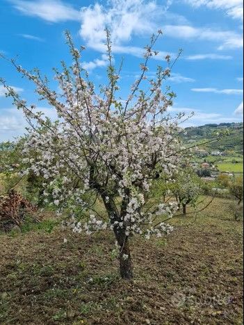 VENDESI TERRENO A POTENZA
