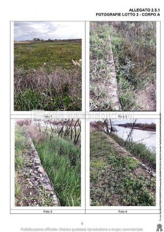 Terreno in vendita a Scanzano Jonico - Rif. 4550233 - Foto 4