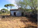CODICE 7583 CASALE 200 MQ CON 5.000 DI TERRENO A BELPASSO