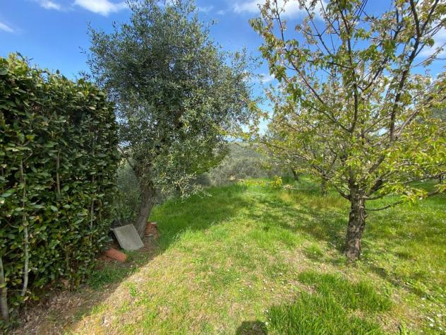 Rustico in vendita a Palaia 280 mq Rif: 1323098 - Foto 10