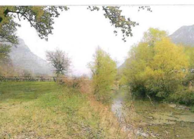 Immobile in asta di 13 m² in vendita a Verona - Foto 4